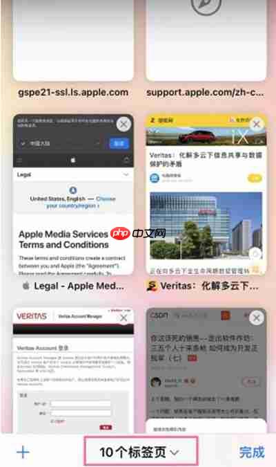 ios15系统自带浏览器怎么开启无痕浏览