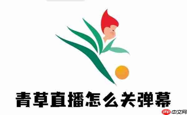 青草直播怎么关弹幕