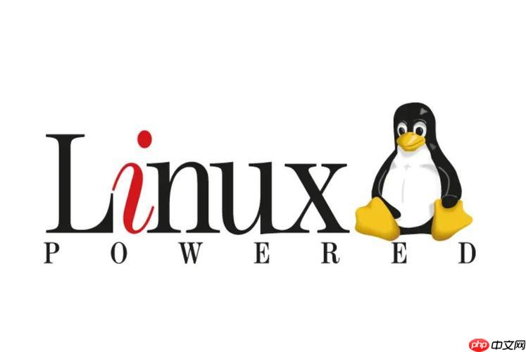 排查Linux中\
