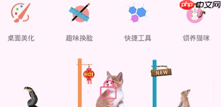 咪萌桌面宠物怎么玩？