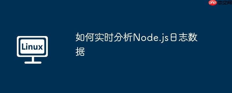 如何实时分析node.js日志数据