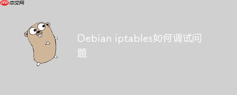debian iptables如何调试问题