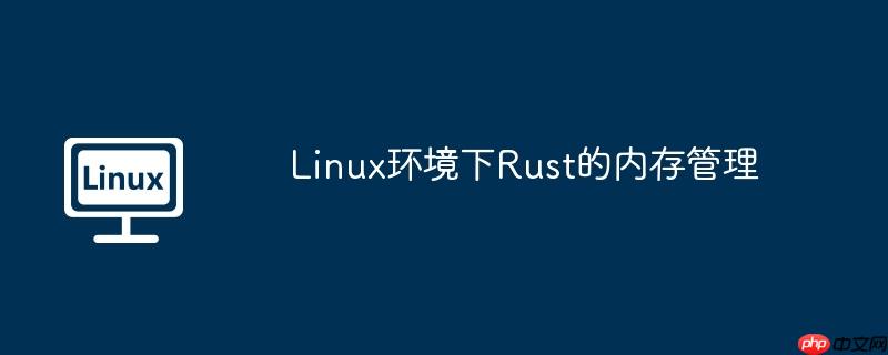 linux环境下rust的内存管理