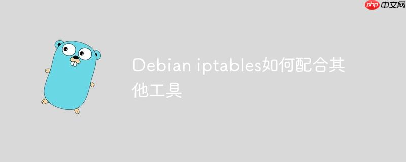 debian iptables如何配合其他工具