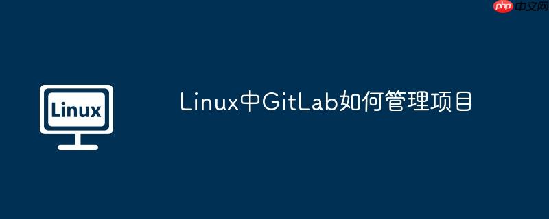 linux中gitlab如何管理项目