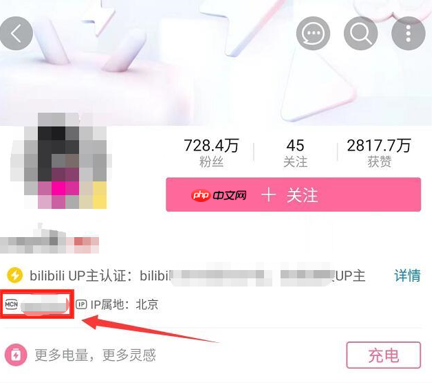 哔哩哔哩UP主MCN机构在哪看