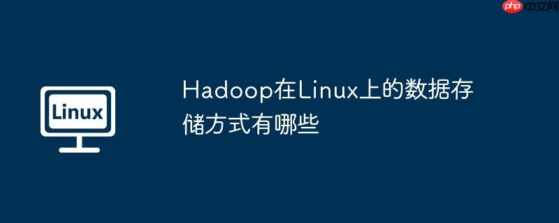 hadoop在linux上的数据存储方式有哪些